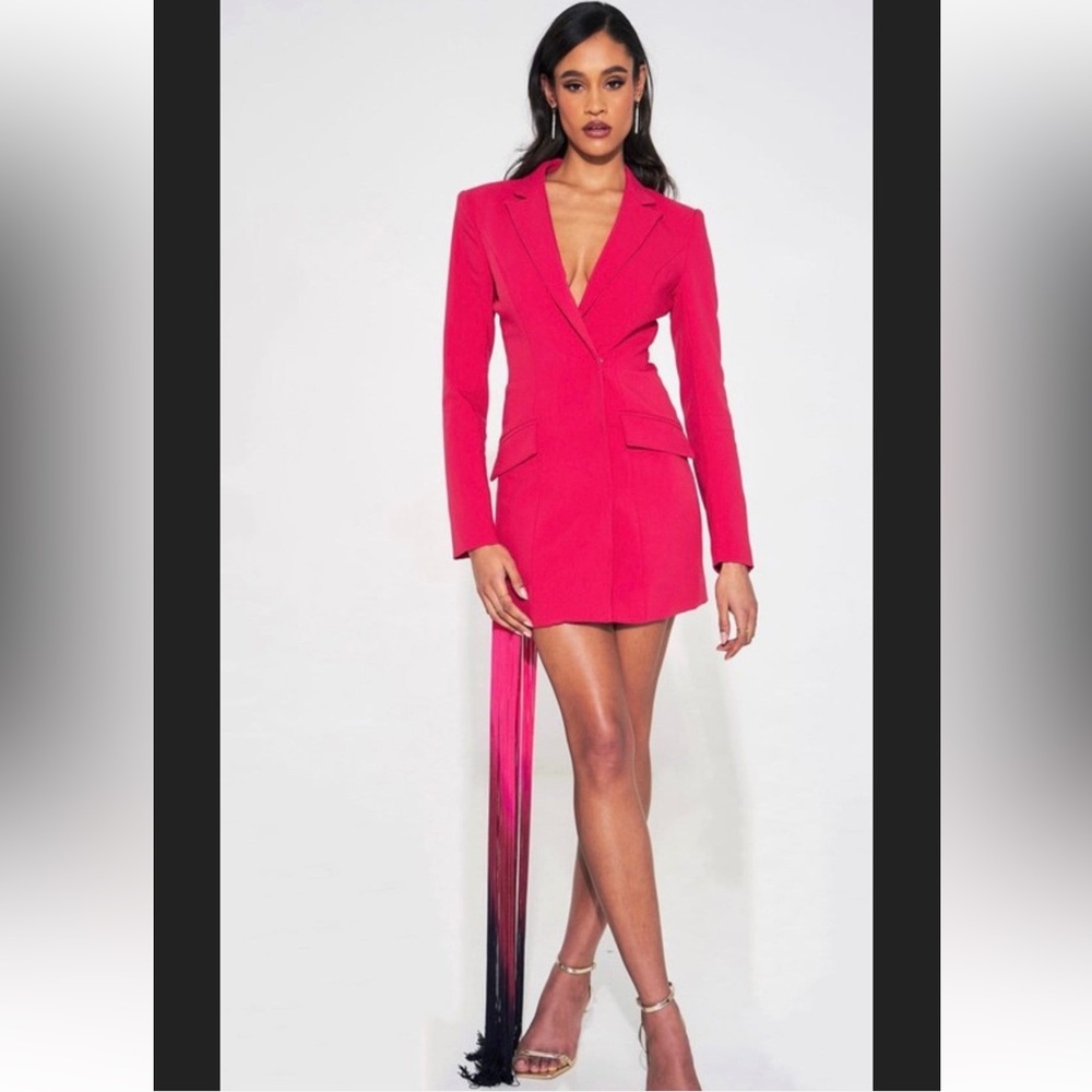 Ruby Red Blazer Dress with Red to Pink to Black Fringe on Side - NWT